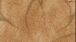 ns25891520.jpg